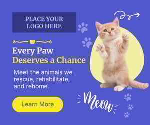 Animal rescue ad 2