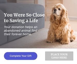 Animal rescue ad 6