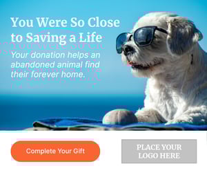 Animal services ad 5