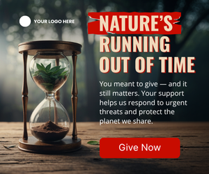 Conservation _Ad_6