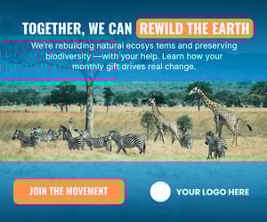 Conservation ad 4