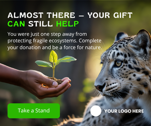 Conservation_Ad_5