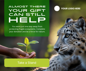 Conservation_Ad_8