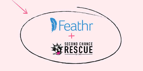 Feathr-Second Chance Rescue-Listingimage-500x250