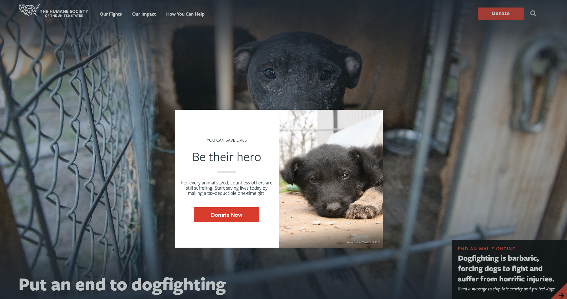 Nonprofit Pop-Up CTA Examples
