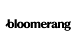 integration-bloomerang-logo-300x200