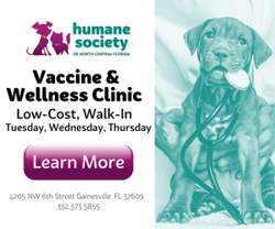 Example of ad for animal services