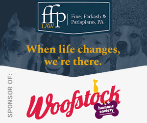 Together FFP and The Humane Society of North Central Florida ran this cobranded ad campaign as one marketing idea for nonprofits. 