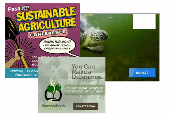 Ad examples for Environmental activism orgs