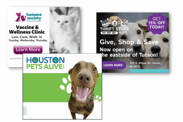 Ad examples for animal rescues
